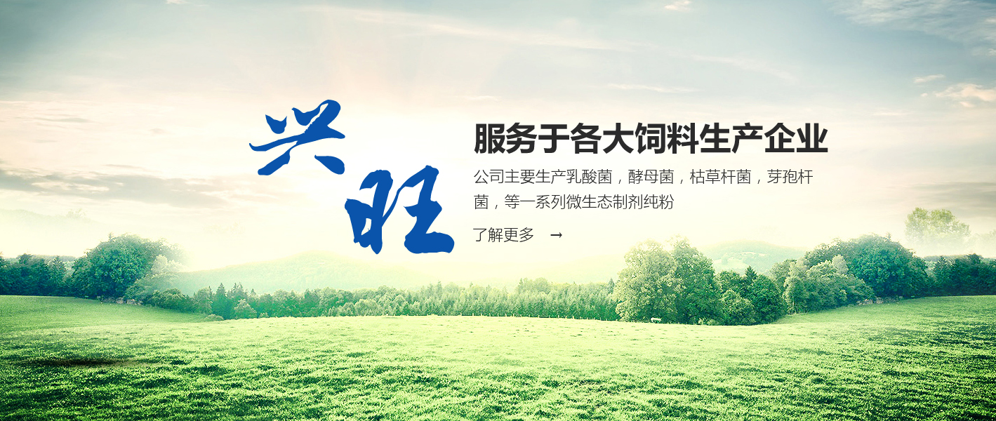 河南省大方重型機器有限公司(官網)單雙梁起重機|門式起.